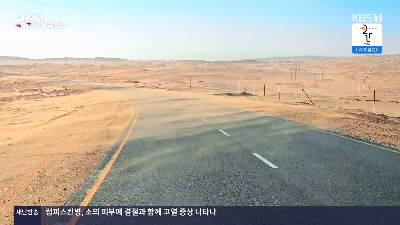 걸어서 세계속으로.E816.231105p-NEXT.mp4_20231104_175444.708.jpg