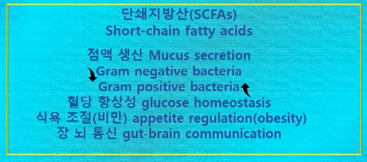 단쇄지방산 역할