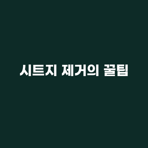 아이오랩스 이미지