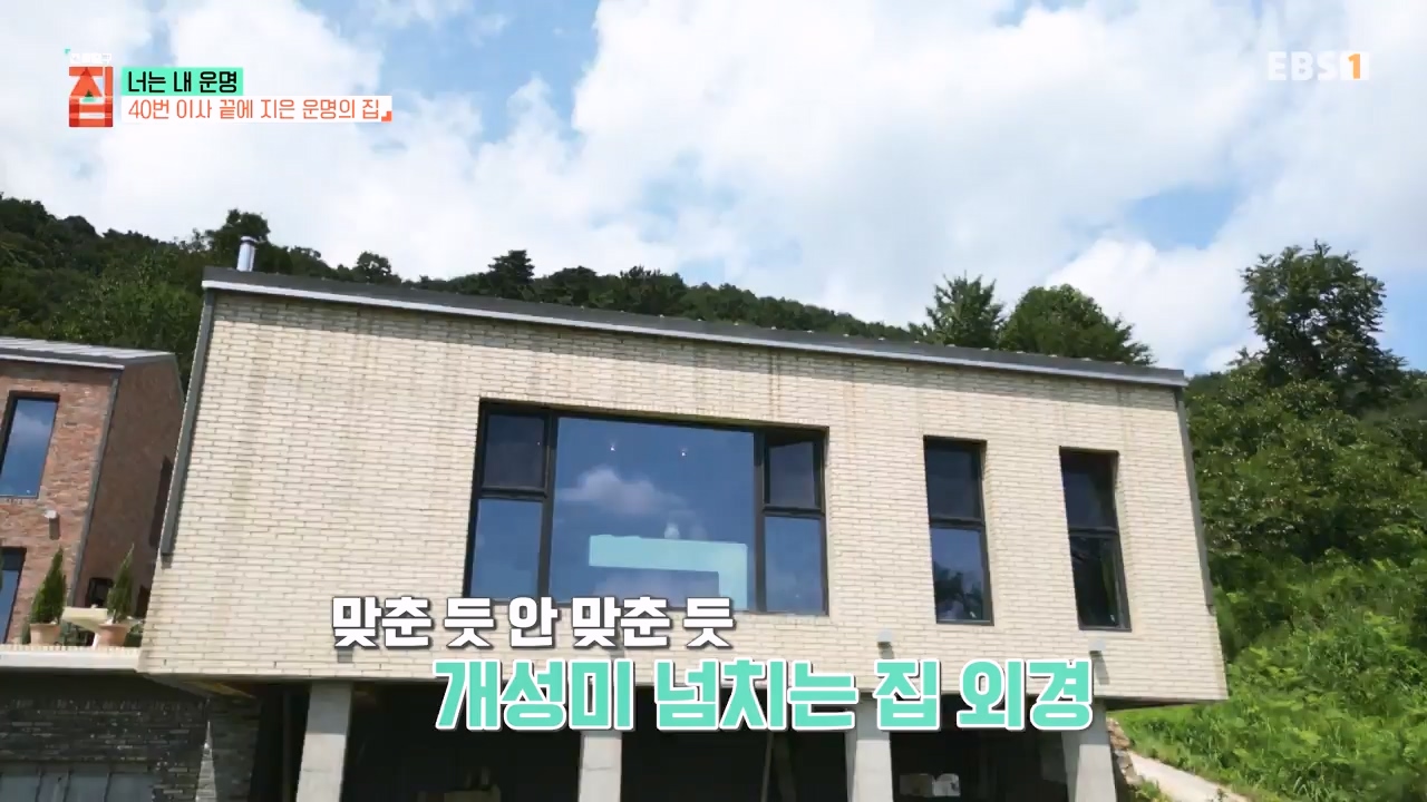 TV - 전 국민의 평생학교 EBS너는 내 운명.mp4_20231123_211351.046.jpg