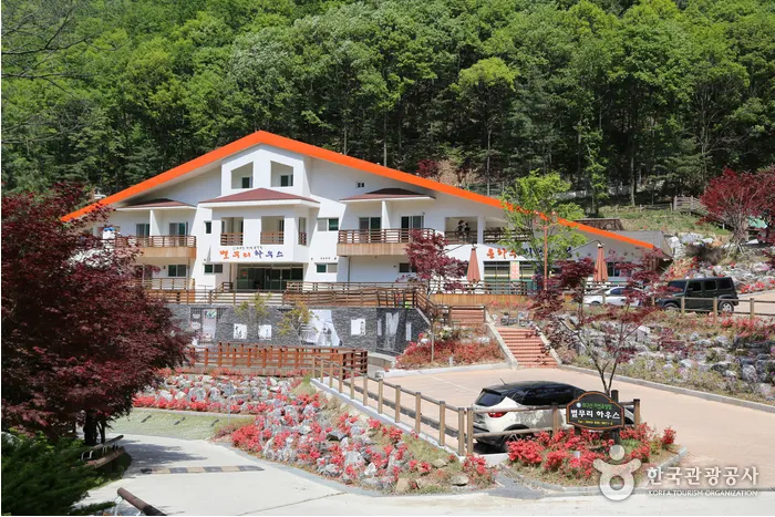 좌구산 자연휴양림 전경 이미지
