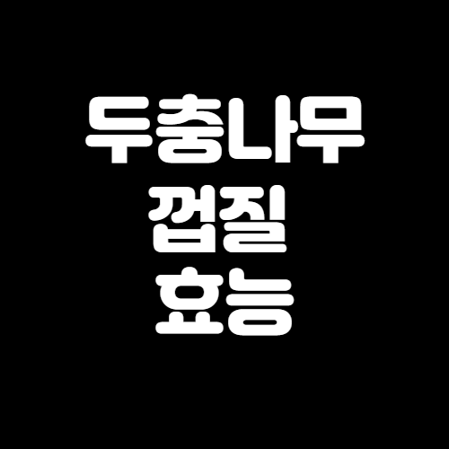  두충나무껍질 효능