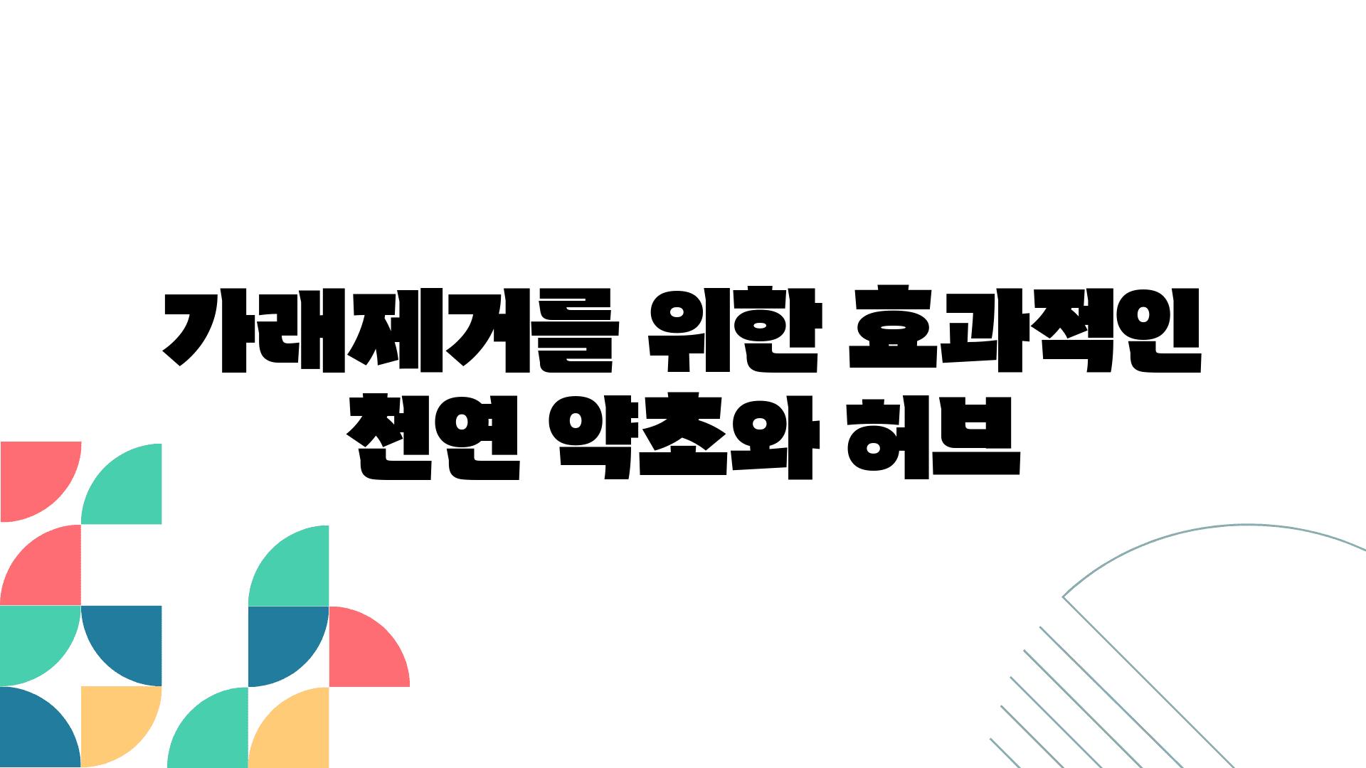 가래제거를 위한 효과적인 천연 약초와 허브