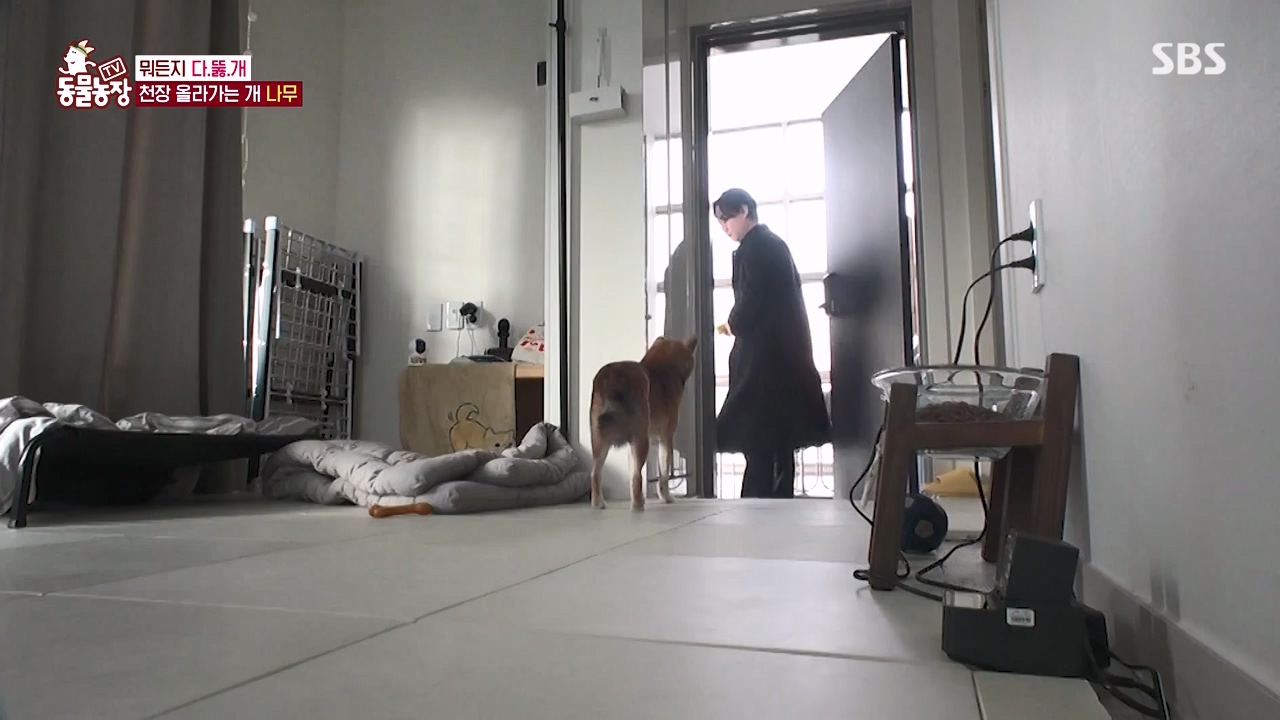 TV 동물농장.E1154.240115p-NEXT.mp4_20240114_184338.772.jpg