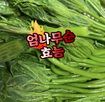 엄나무순-효능