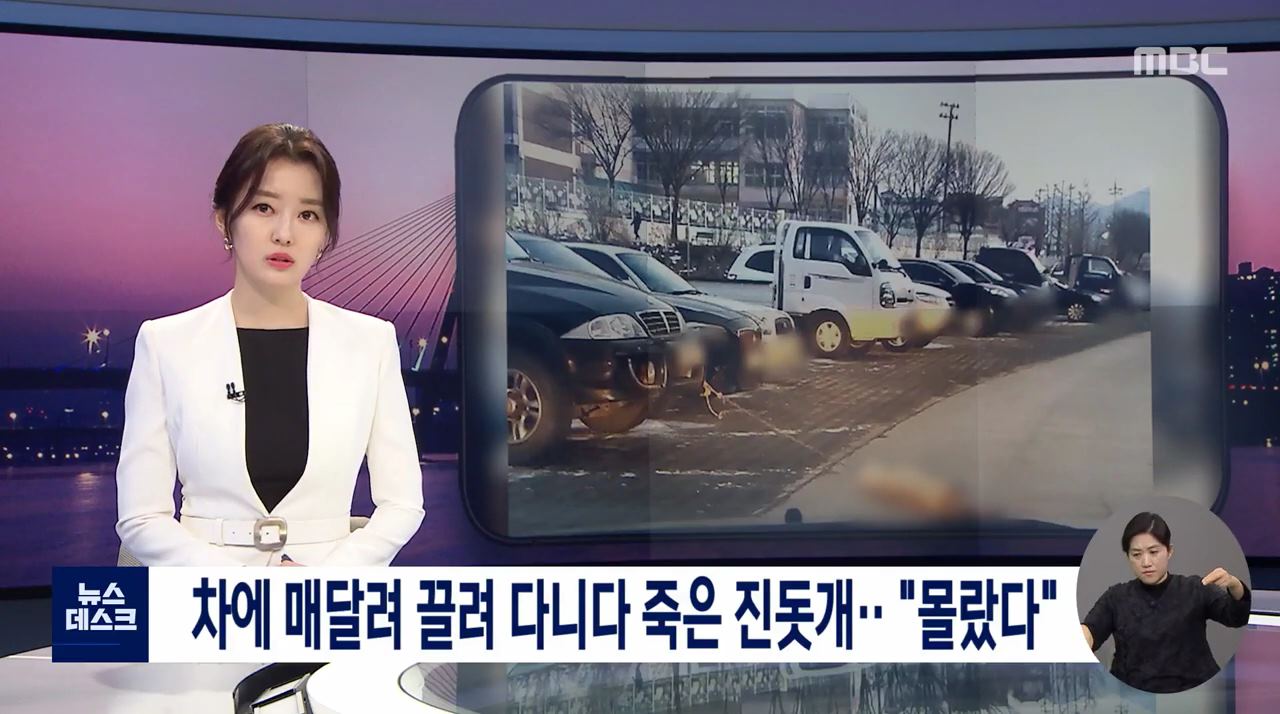  차에 매달려 끌려 다니다 죽은 진돗개
