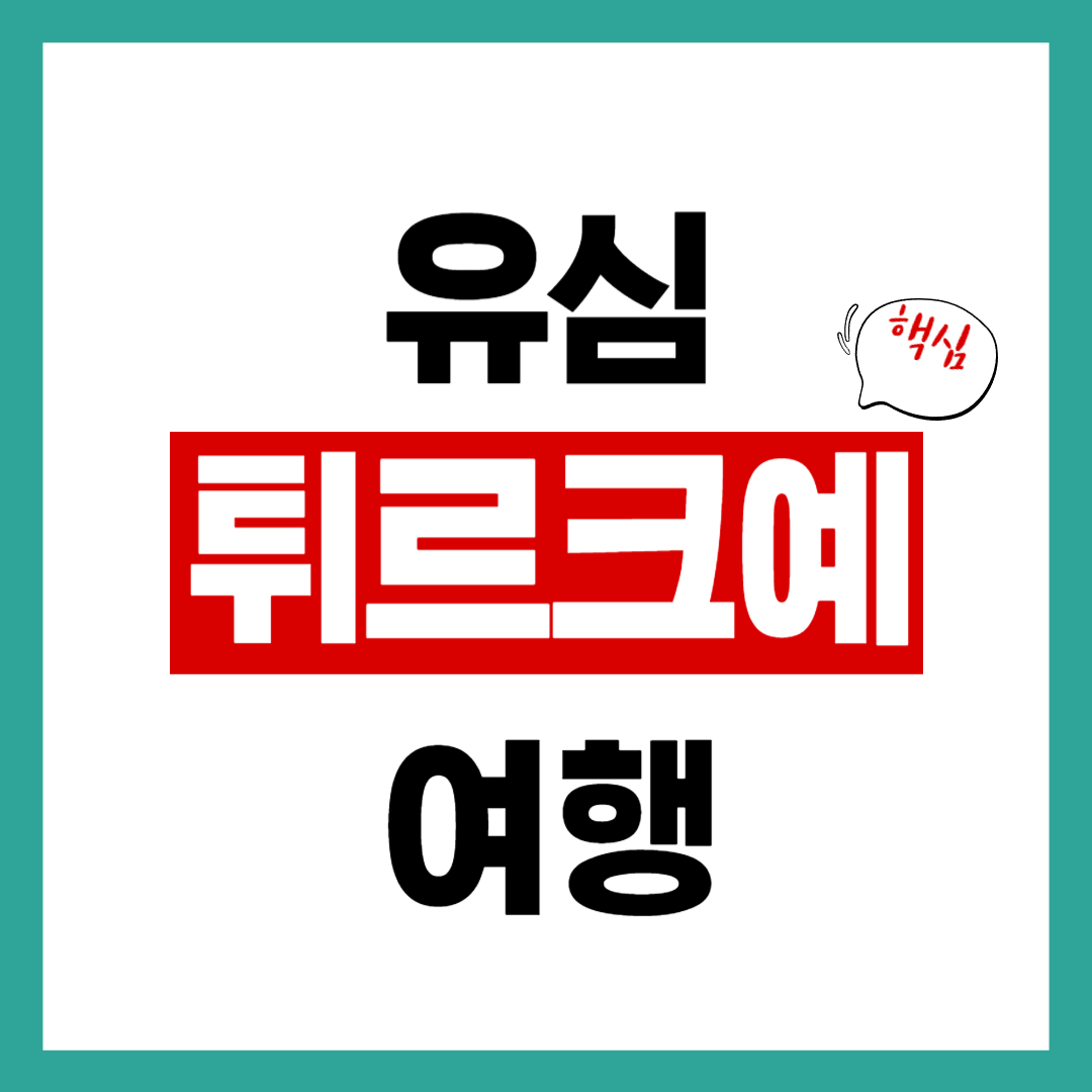 튀르키예 유심
