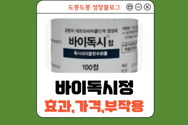 바이독시정 안내 이미지