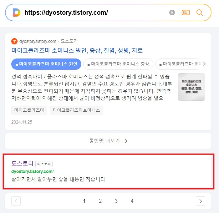 내 블로그 사이트 검색결과