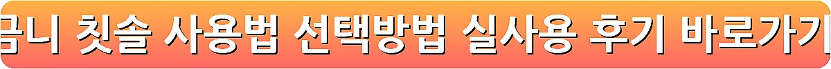 어금니 칫솔 사용법 선택방법 실사용 후기_16