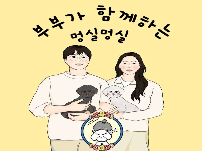 1호선 회룡역 애견미용 잘하는 곳 BEST4 | 무료 상담 | 후기 확인 | 예약하기 | 혜택 받기 | 인기 샵 총정리 - 3. 멍실멍실 소개 3. 멍실멍실 소개