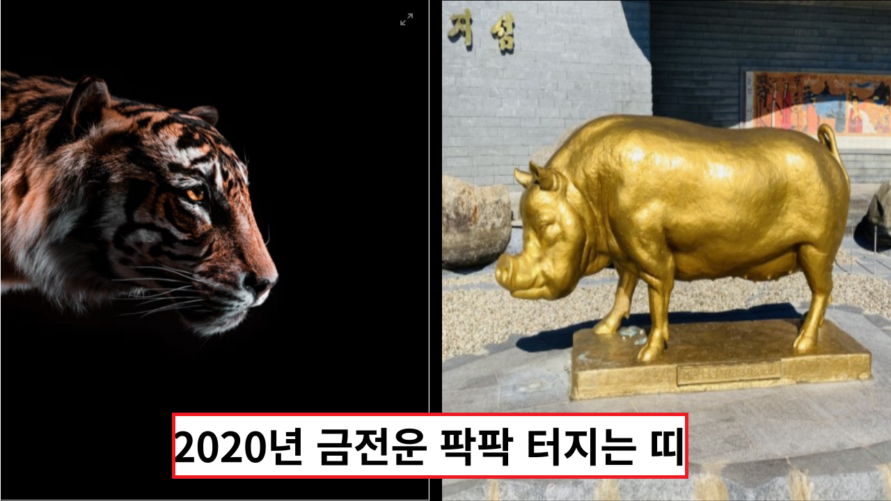  '2022년 지금 당장 복권사야하는' 금전운 팍팍 터지는 띠