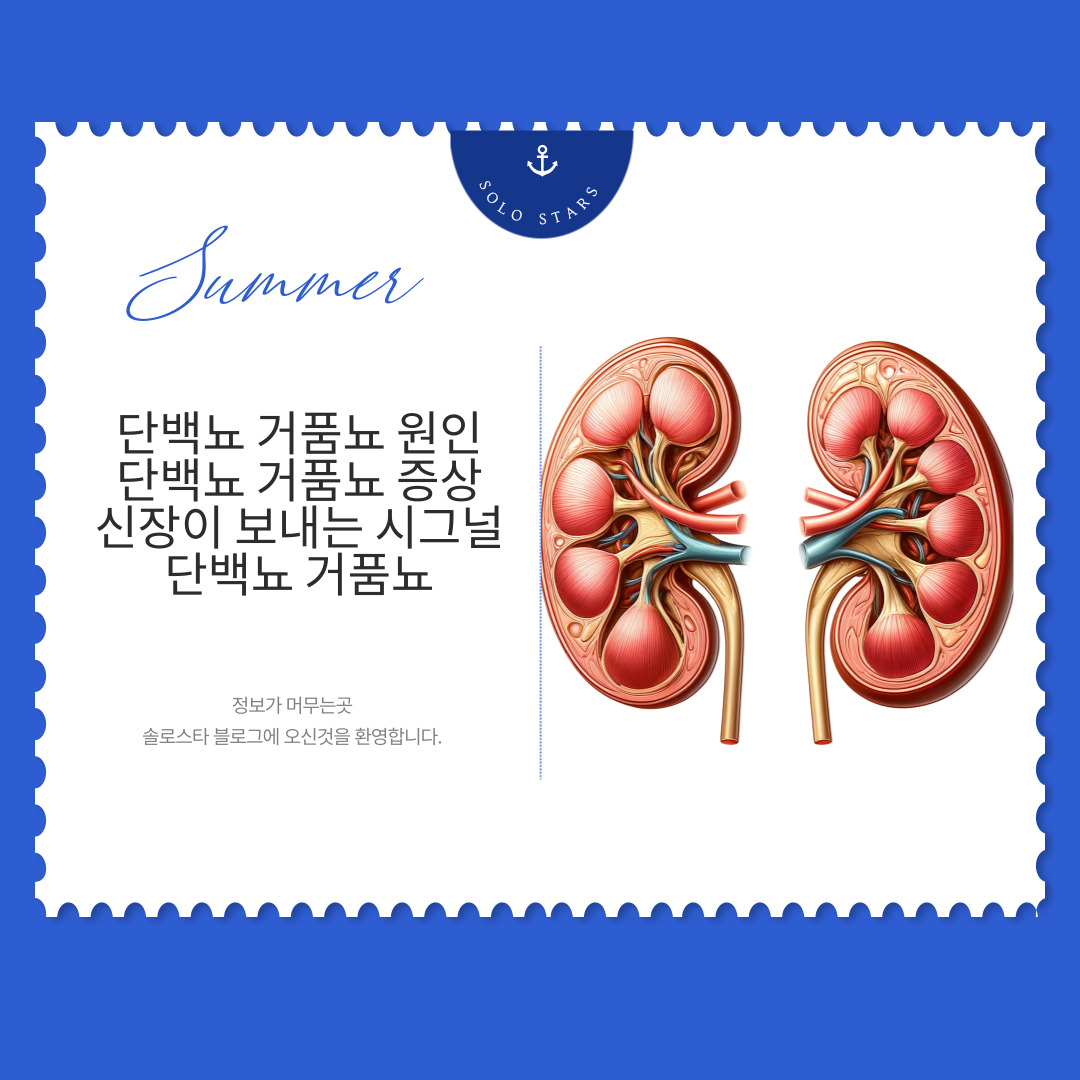 신장 사구체 사진 그림
