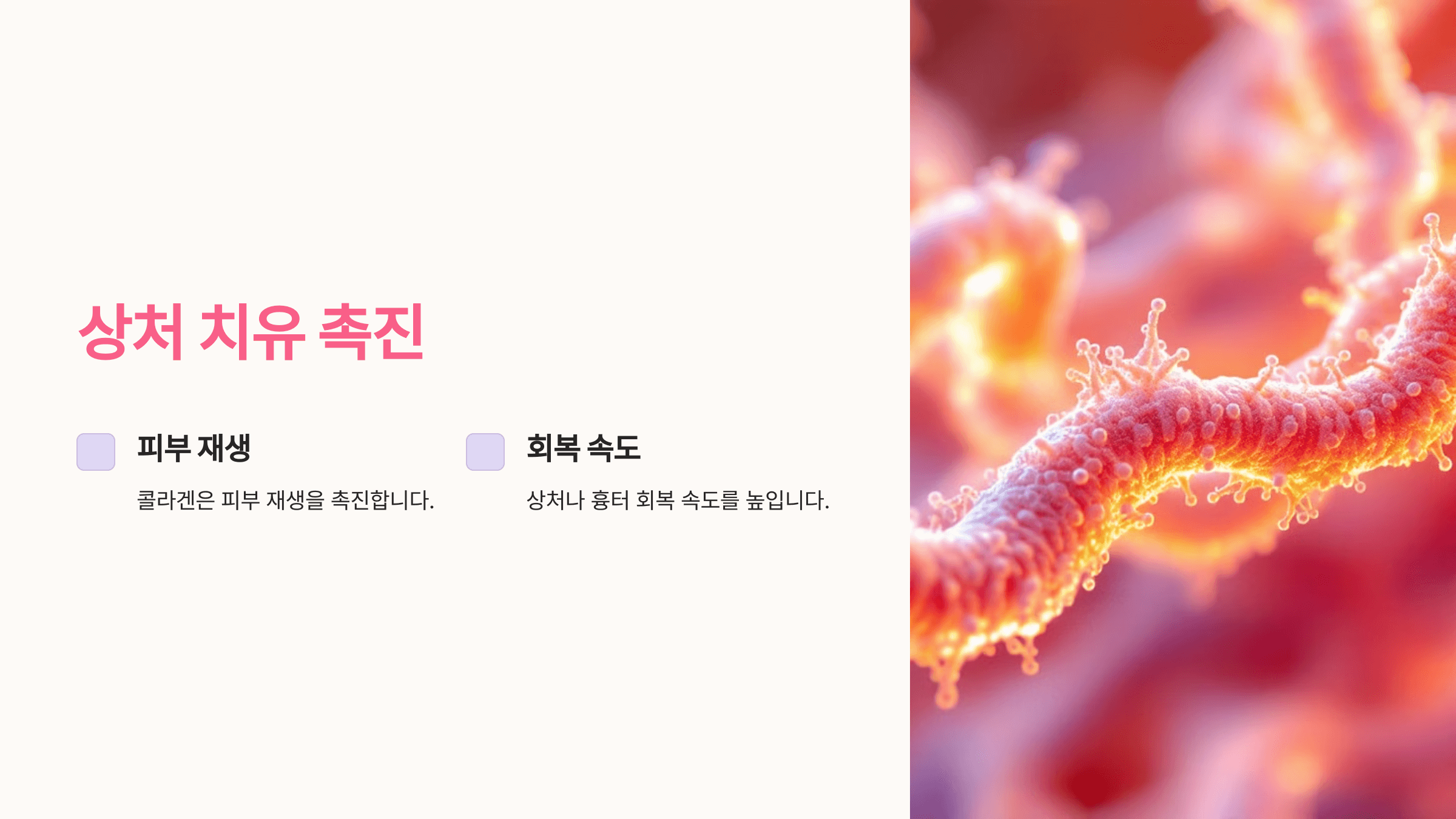 콜라겐과 관련된 사진입니다.