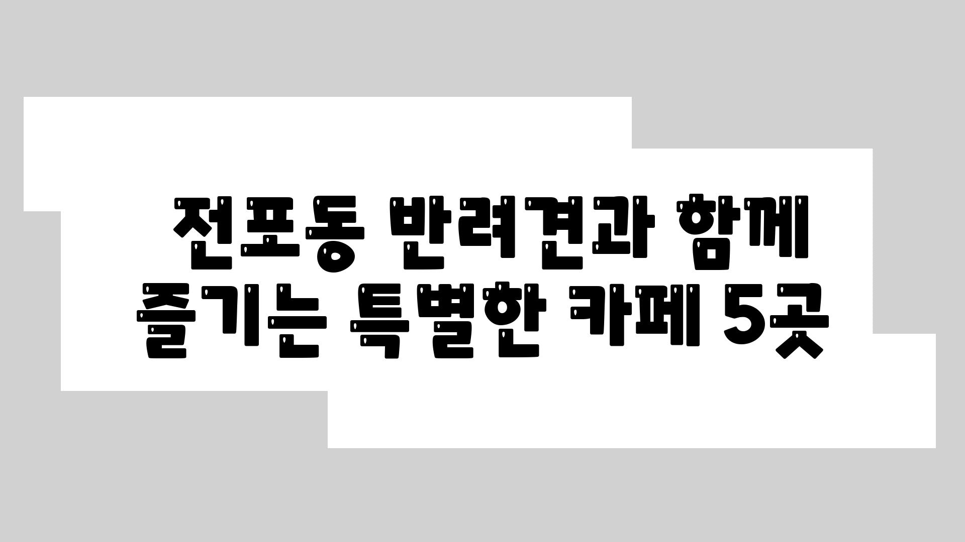  전포동 반려견과 함께 즐기는 특별한 카페 5곳