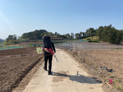 가고싶은 섬 가고싶은섬, 꼬막길과 뻘배길이 26