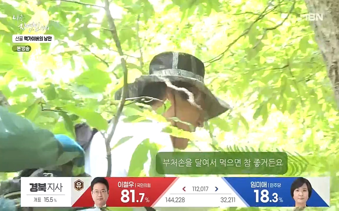 나는 자연인이다.E504.220602p-NEXT.mp4_20220602_201437.261.jpg