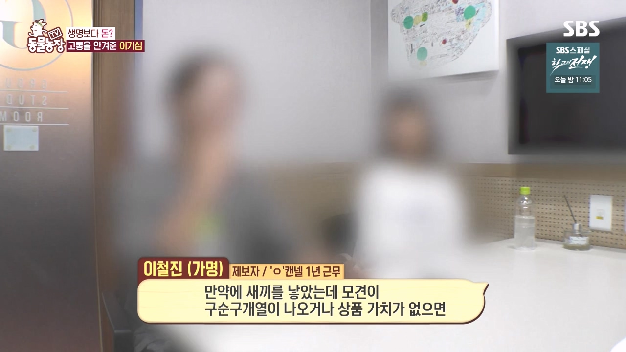 TV 동물농장.E1142.231023p-NEXT.mp4_20231022_173419.668.jpg