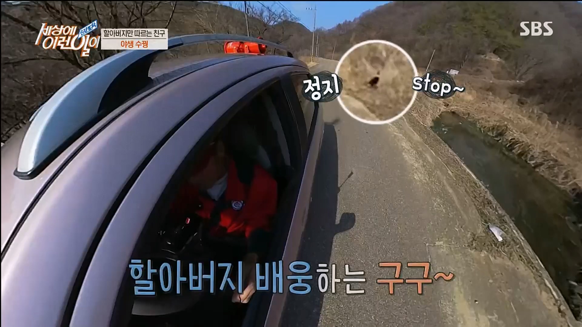 순간포착 세상에 이런일이.E1224.230404p.H264-F1RST.mp4_20230405_193510.153.jpg