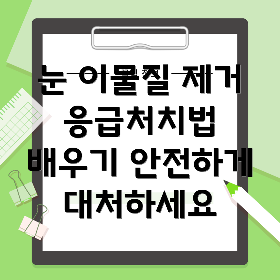 안구 이물질 제거