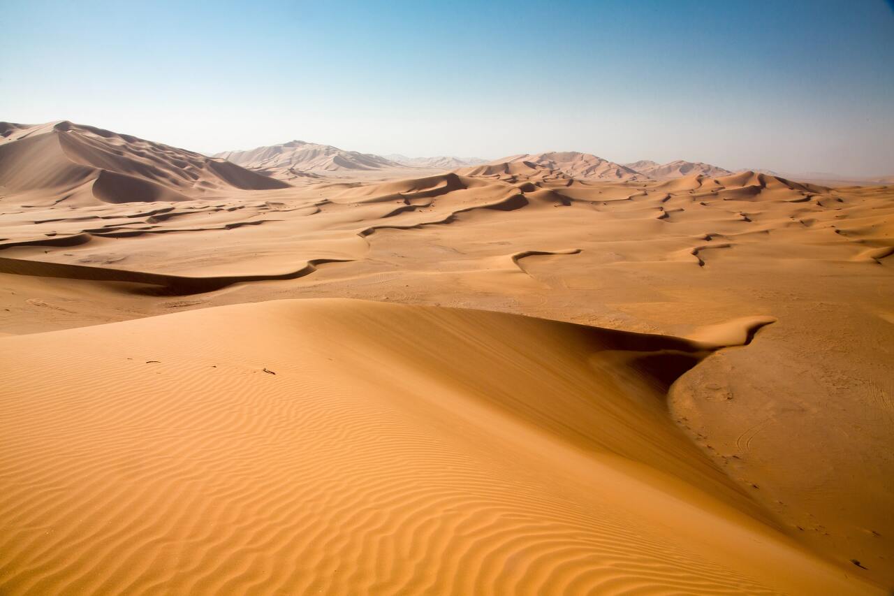 네지드 아라비아 사막