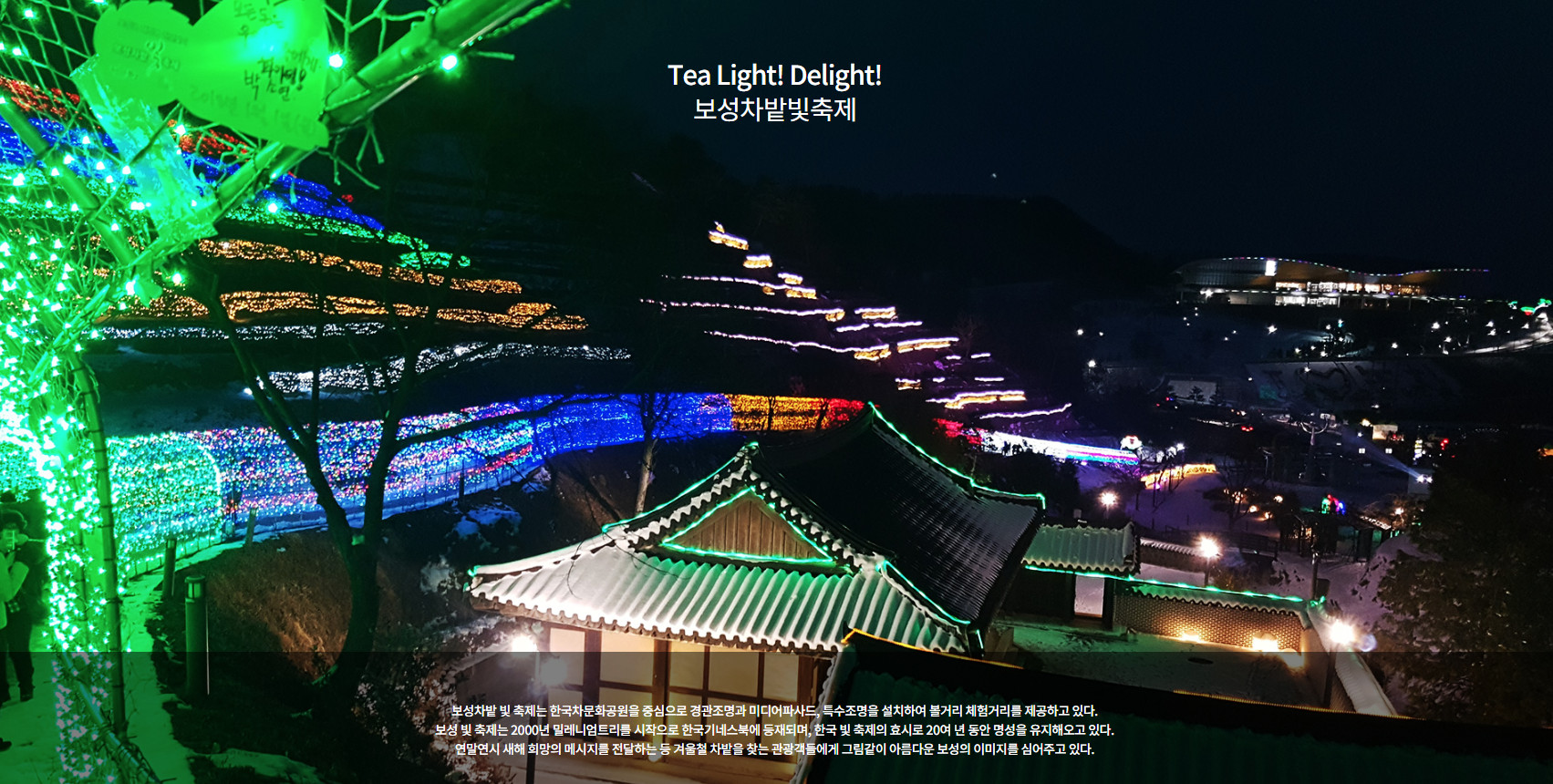  전남 보성 가볼만한곳: 보성차밭빛축제 2020