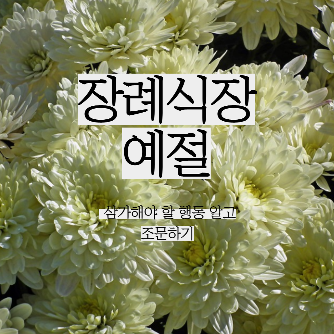  장례식장 예절 ( 헷갈리지 않게 , 삼가해야 할 행동 모음 )