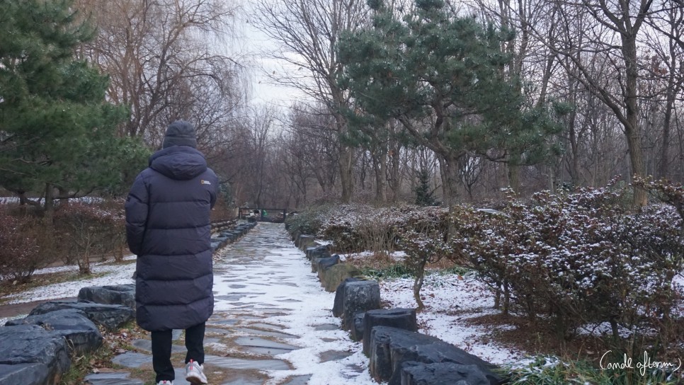 전주 겨울여행 전주겨울여행/한국도로공사 60