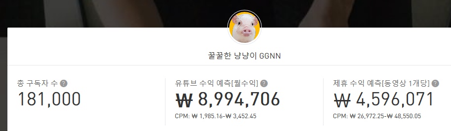 꿀꿀한 냥냥이 유튜브 수익 분석.. 핑크돼지는 얼마나 벌까?