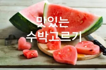 맛있는 수박 고르는법 5가지 feat 좋은 수박 암수 구별법_15