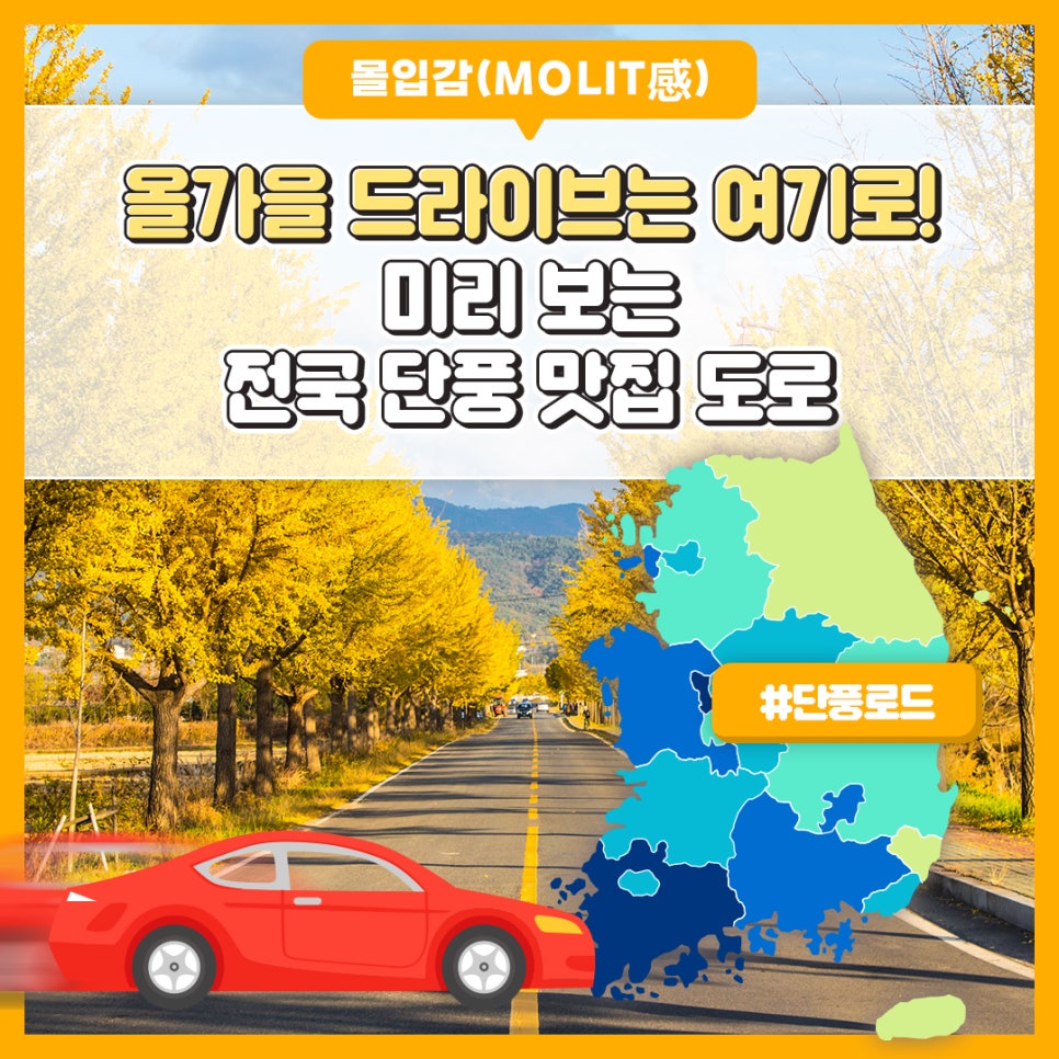 가을단풍드라이브