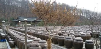 세종 가볼만한곳 베스트10 여행 놀거리 맛집 알아보기_22