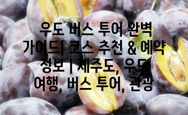 랜덤187