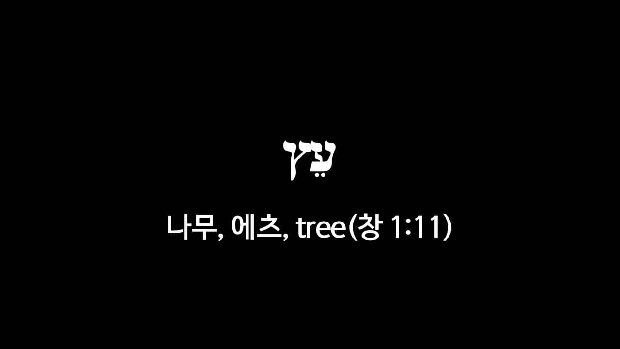 창세기 1장 11절&#44; 나무(עֵץ&#44; 에츠&#44; tree) - 히브리어 원어 정리