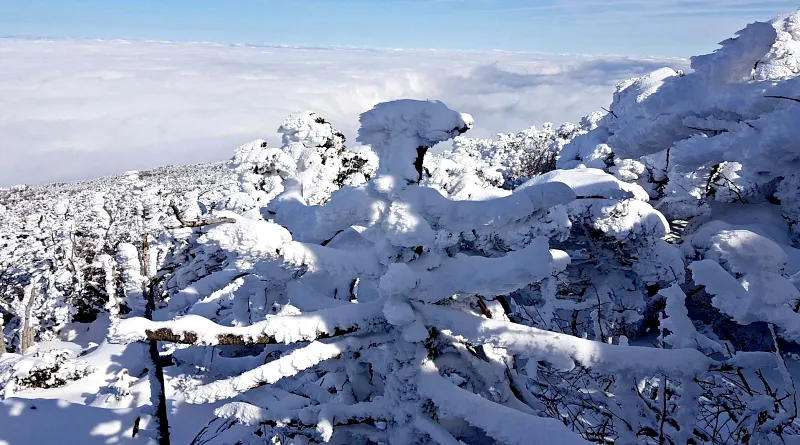 제주 한라산 설경 상고대