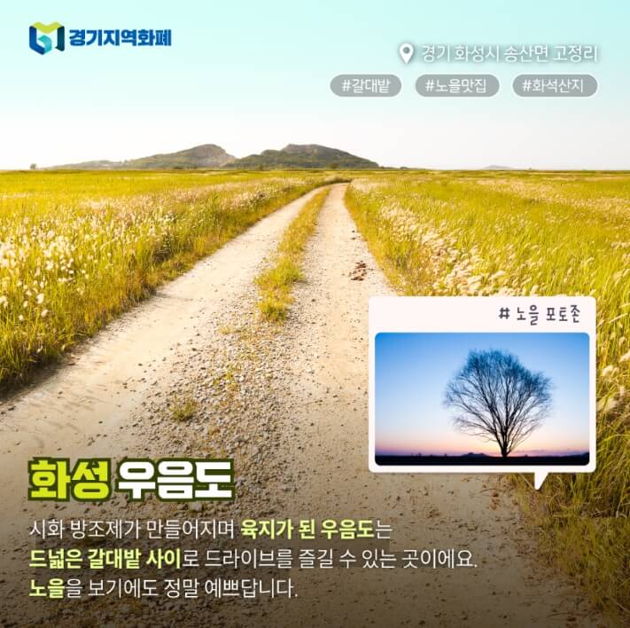 경기도 4계절 드라이브 코스 [ BEST 5]