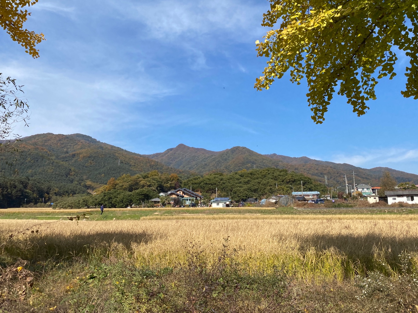 중바위캠핑장 이미지