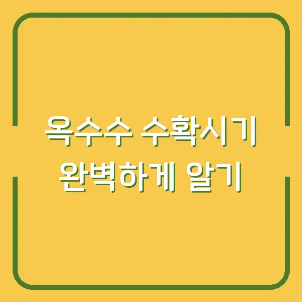 옥수수 수확시기 완벽하게 알기