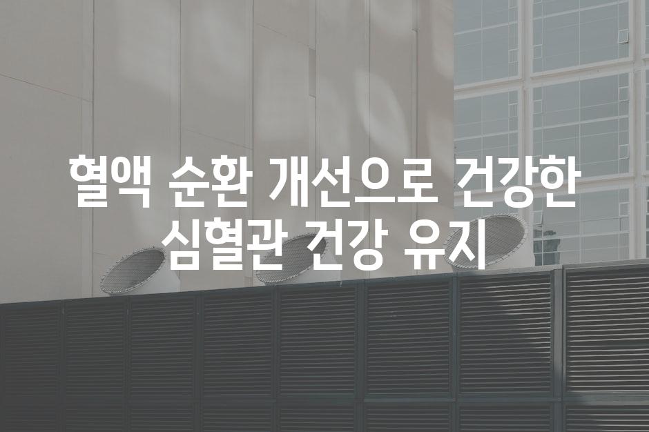 혈액 순환 개선으로 건강한 심혈관 건강 유지