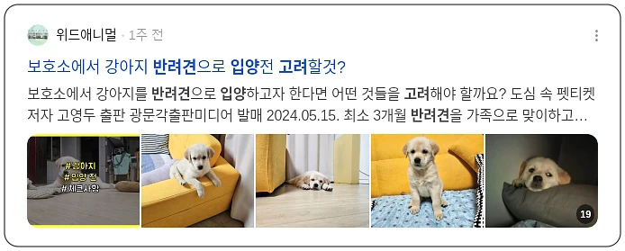 반려견 입양 고려하기_3_subsection