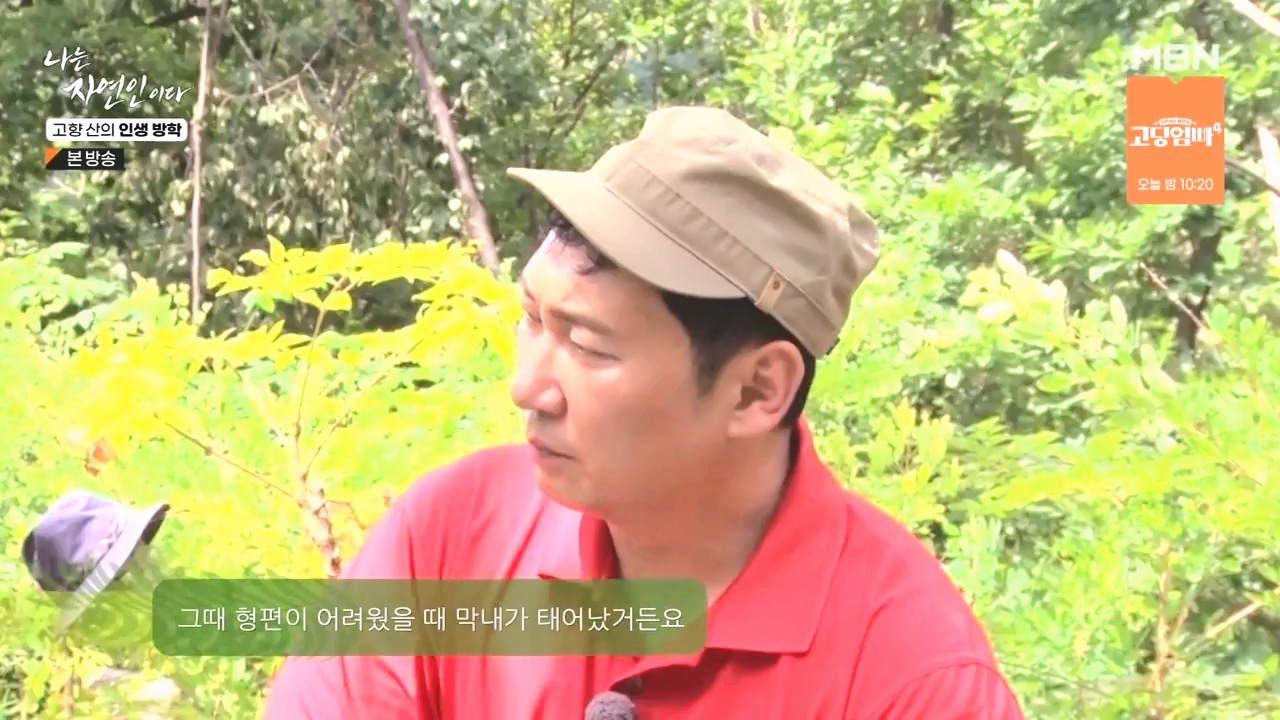 나는 자연인이다.E568.230824p-NEXT.mp4_20230824_203255.003.jpg