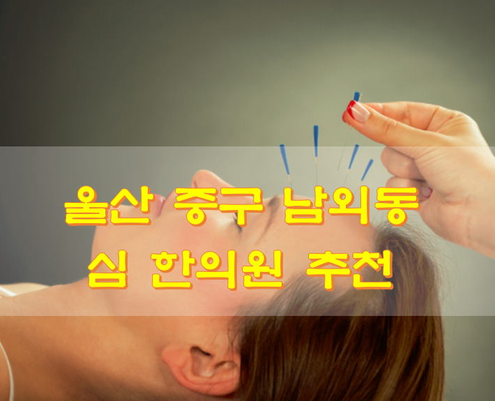  울산 중구 남외동 심 한의원 추천