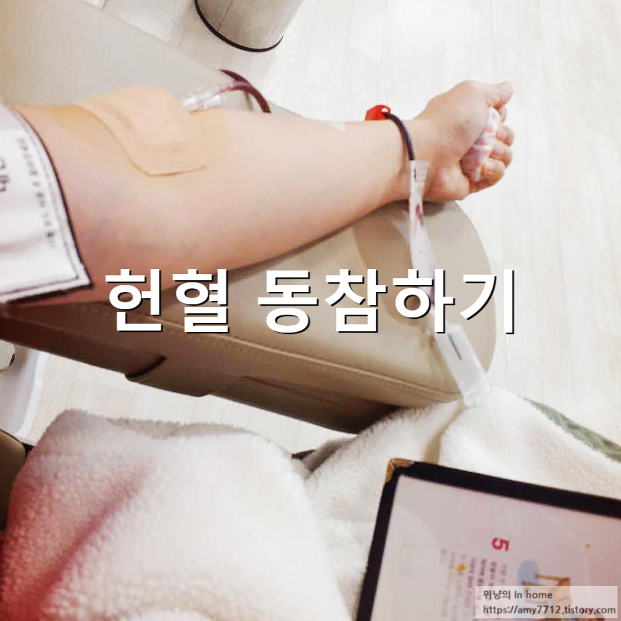  헌혈의 집(김포 구래센터) 방문 후기_헌혈 조건/주기/나이/봉사시간