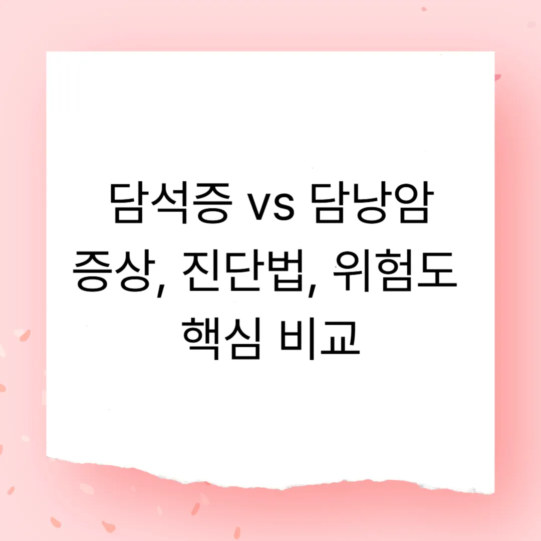 담석증 vs 담낭암 – 초기 증상, 진단법, 위험도 완전 비교