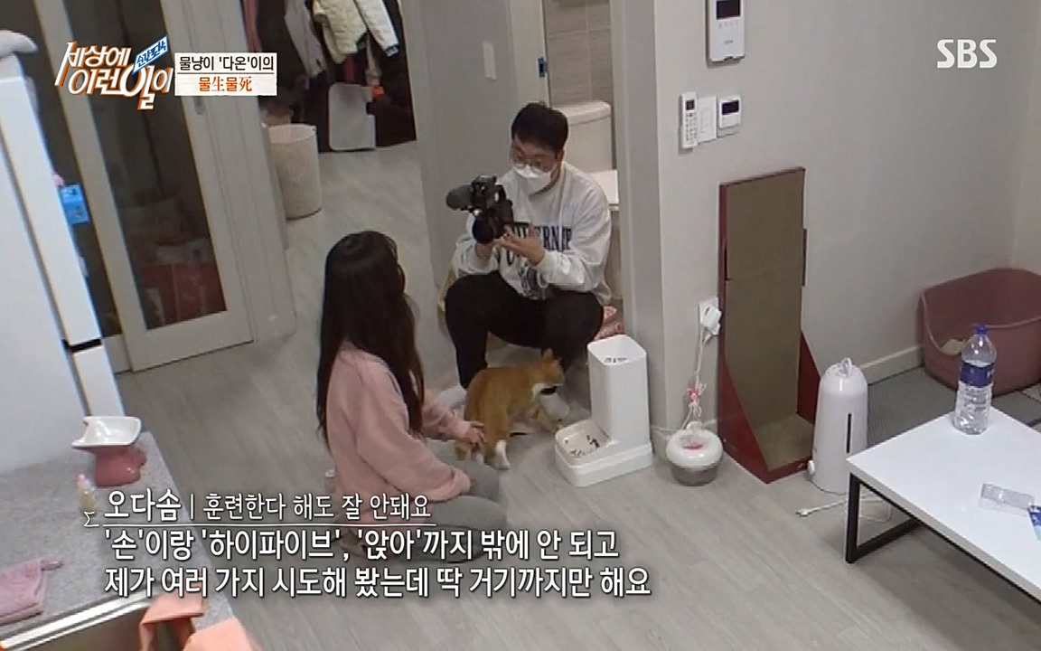 순간포착 세상에 이런일이.E1171.220316p-NEXT.mp4_20220316_184926.794.jpg