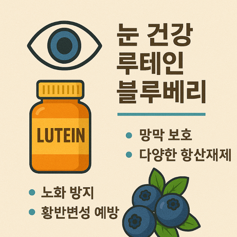 루테인 보충제와 블루베리의 눈 건강 효과를 비교 요약한 인포그래픽