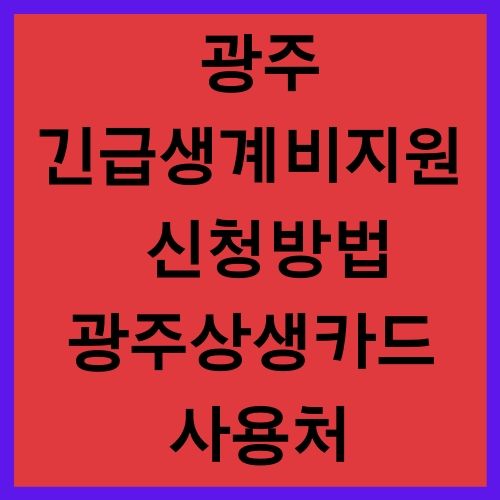 광주 긴급생계비지원 생계지원비 광주상생카드 자금 사용처