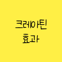  크레아틴 효과