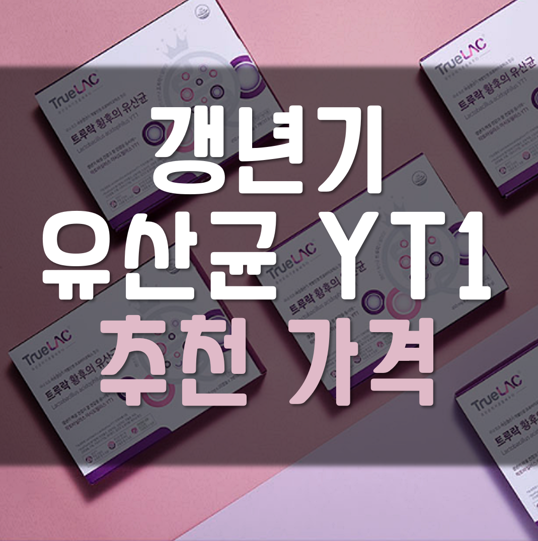  갱년기 유산균YT1 추천 가격