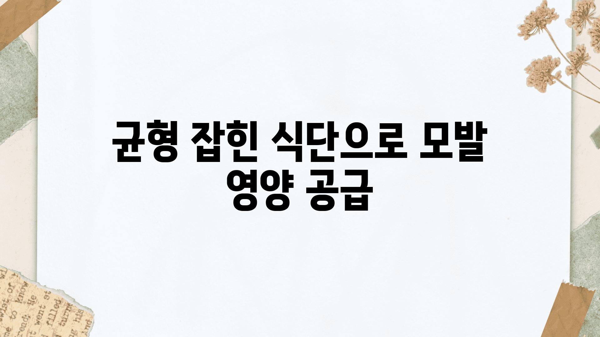 균형 잡힌 식단으로 모발 영양 공급